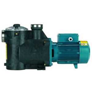calpeda pool pumps